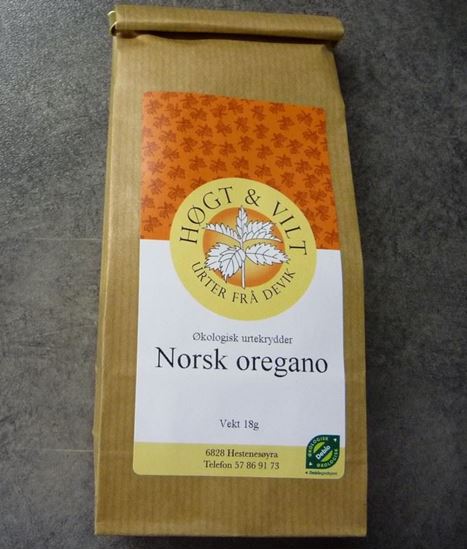 norsk oregano liten.jpg